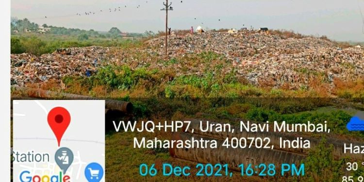 NatConnect Foundation