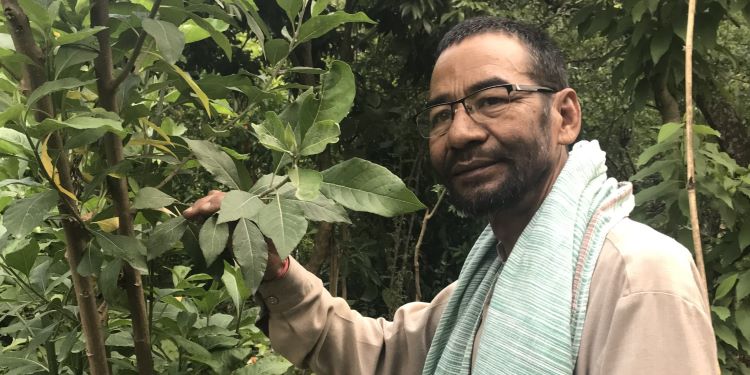 NatConnect Foundation