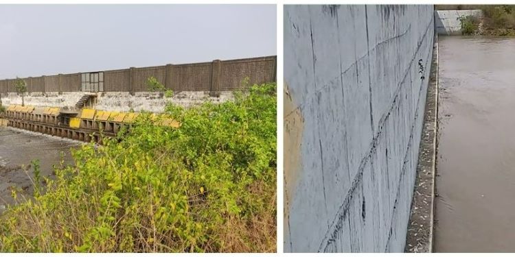 NatConnect Foundation