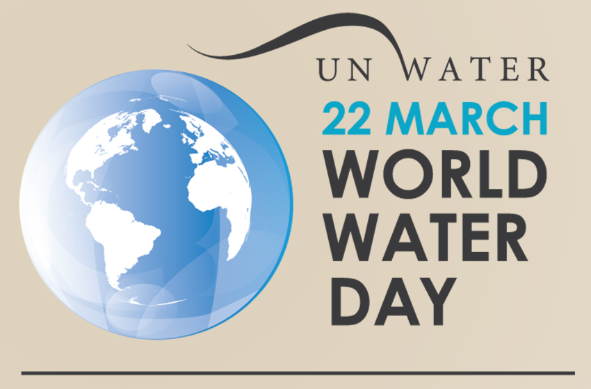 NatConnect Foundation