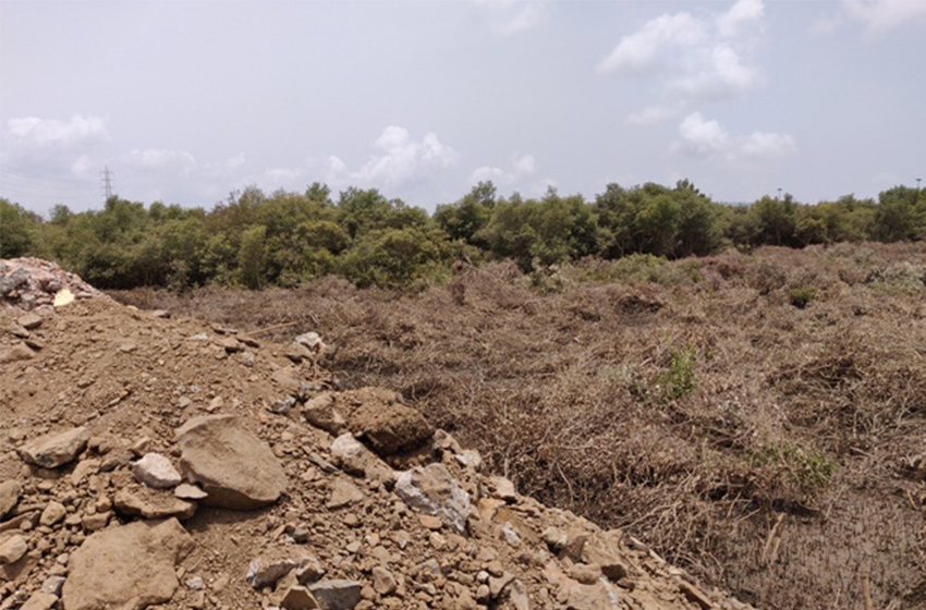 NatConnect Foundation