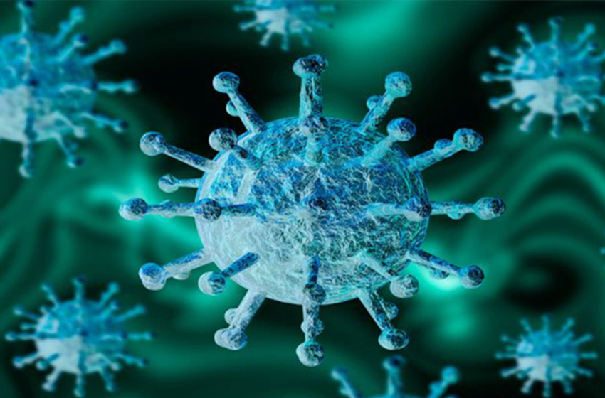 NatConnect Foundation